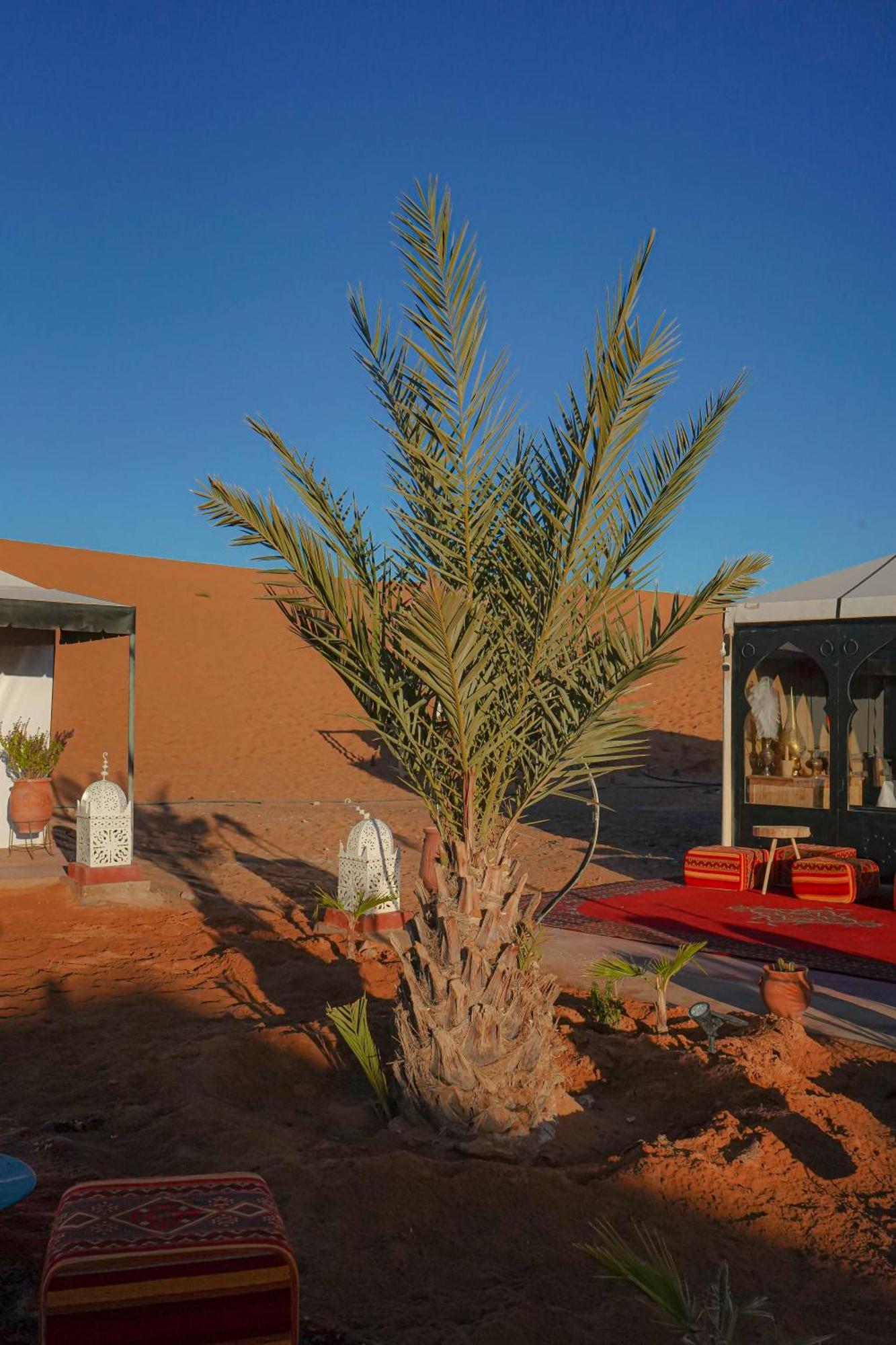 Aladdin Camp Camping